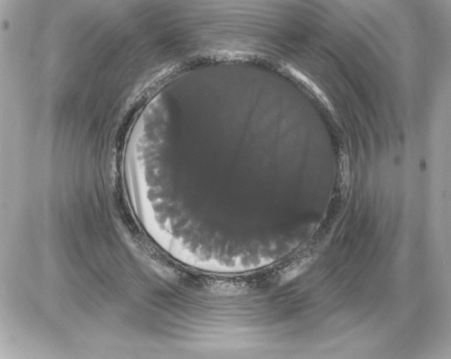 X0000085220494200704091935