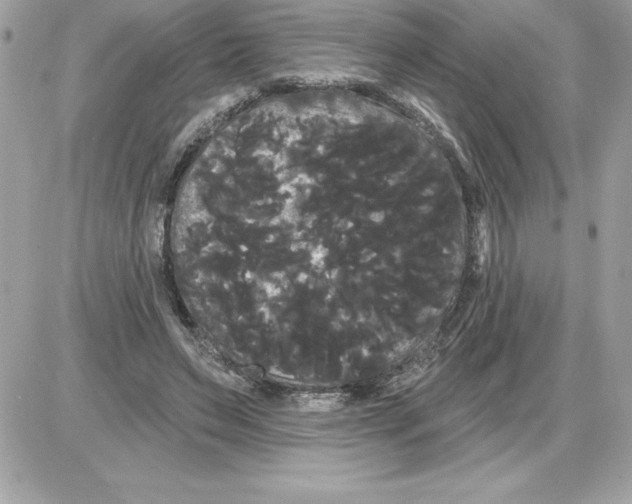 X0000085220495200704091935