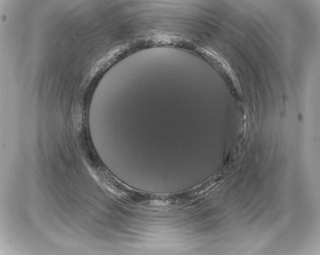 X0000085220496200704091935