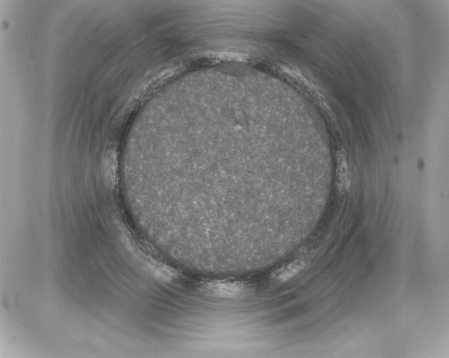 X0000085220498200704091935