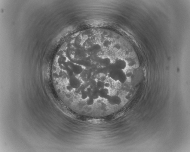 X0000085220499200704091935