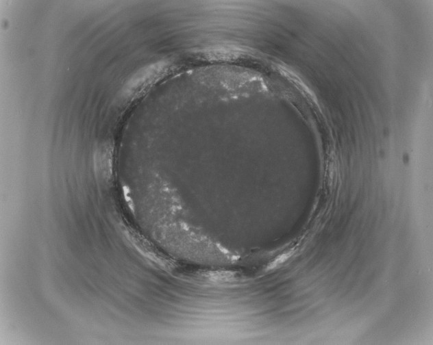 X0000085220501200704091935