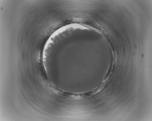 X0000085220502200704091935