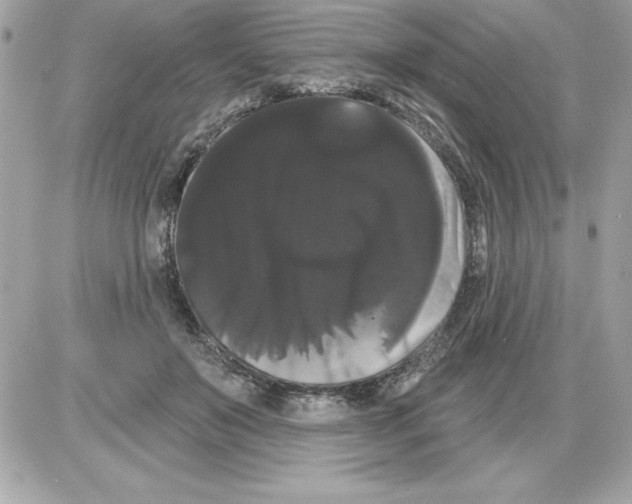 X0000085220503200704091935