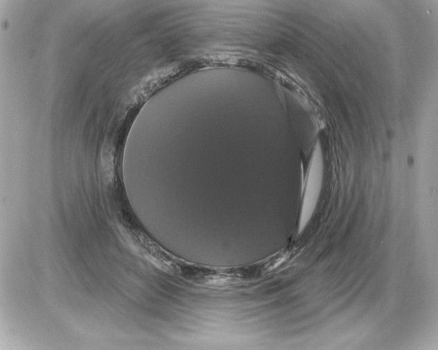 X0000085220504200704091935