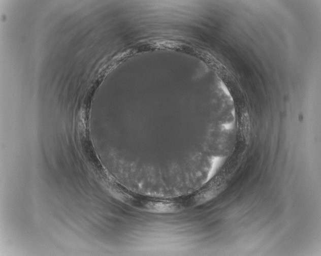 X0000085220506200704091935