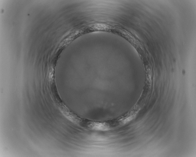 X0000085220507200704091935