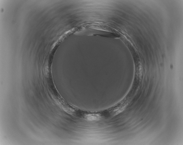 X0000085220508200704091935