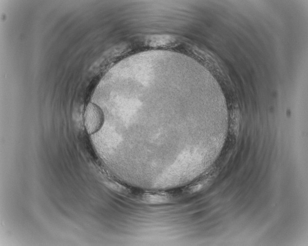 X0000085220510200704091935