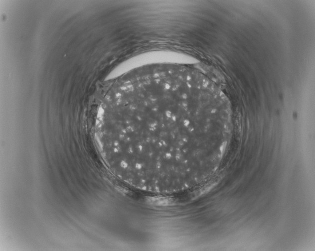 X0000085220511200704091935