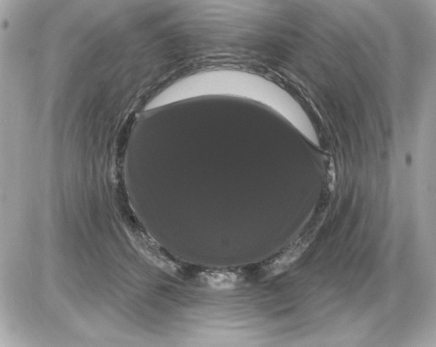 X0000085220512200704091935