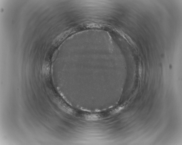 X0000085220513200704091935