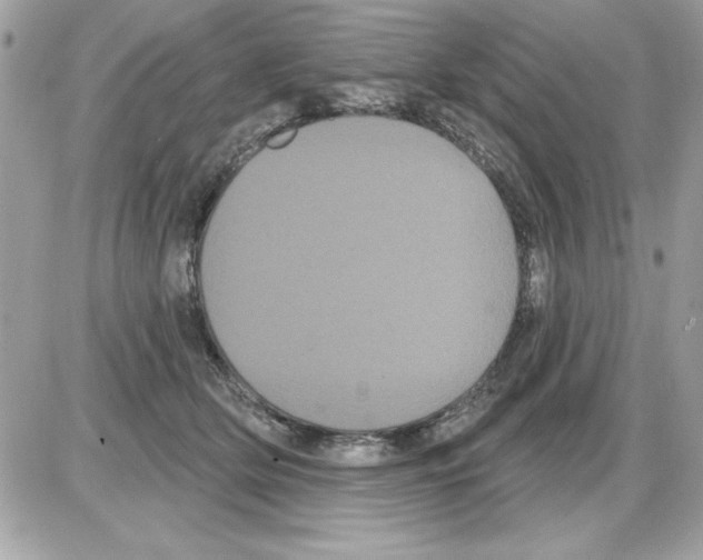 X0000085220514200704091935