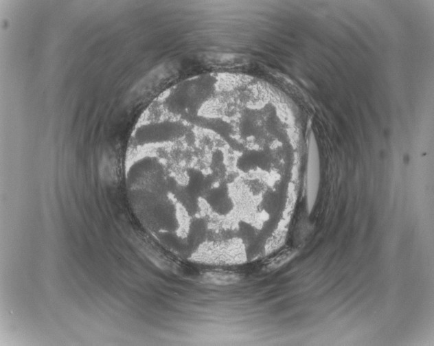 X0000085220515200704091935