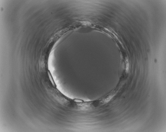 X0000085220516200704091935