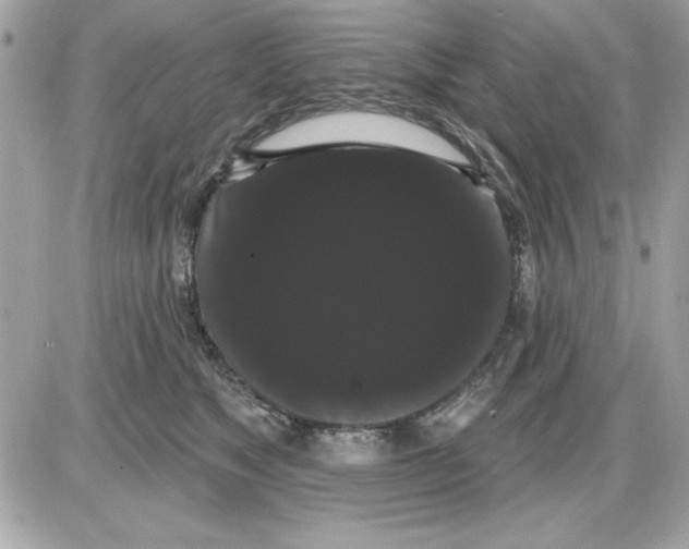 X0000085220517200704091935