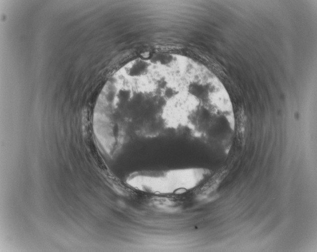 X0000085220519200704091935