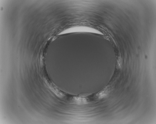 X0000085220520200704091935