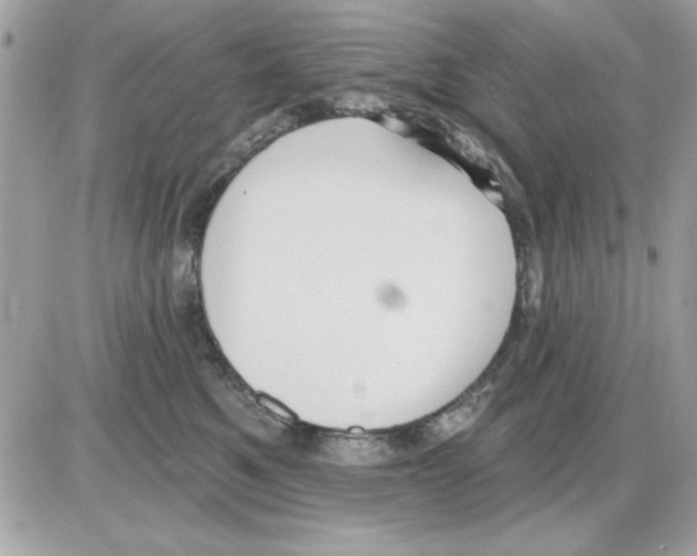 X0000085220521200704091935