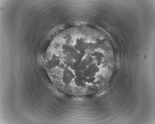 X0000085220523200704091935