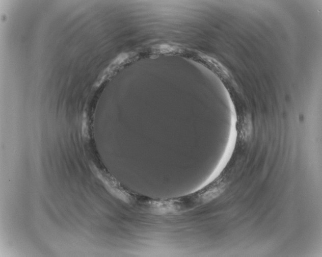 X0000085220524200704091935