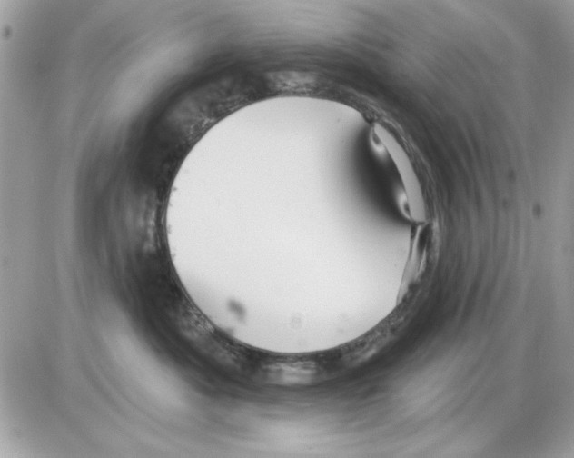 X0000085220525200704091935