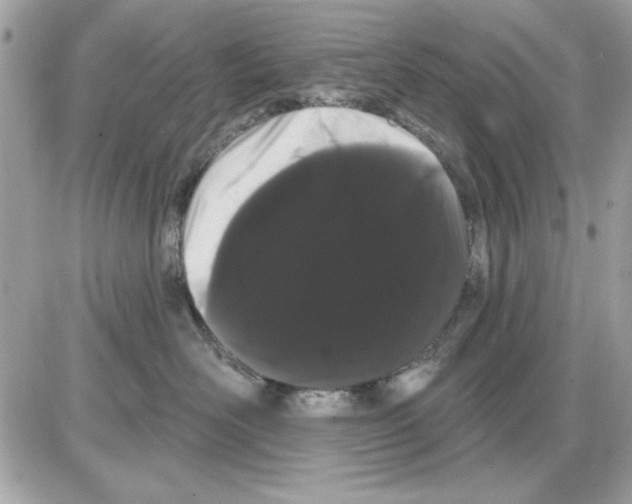 X0000085220526200704091935