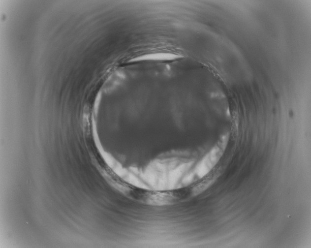 X0000085220527200704091935