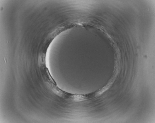 X0000085220528200704091935