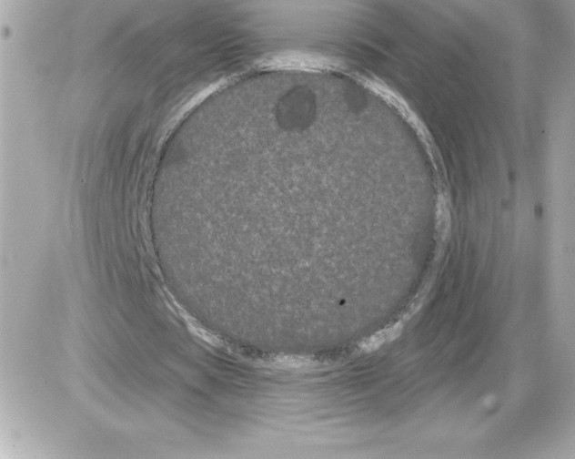 X0000085220529200704091934