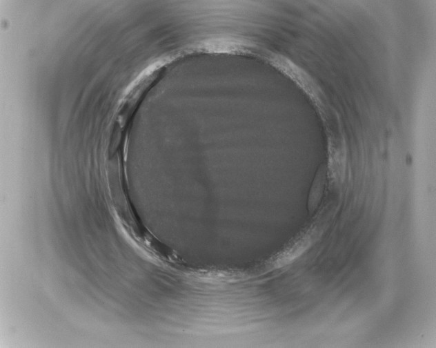 X0000085220530200704091934