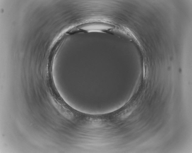 X0000085220531200704091934