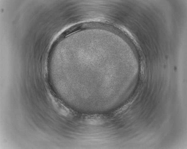 X0000085220532200704091934