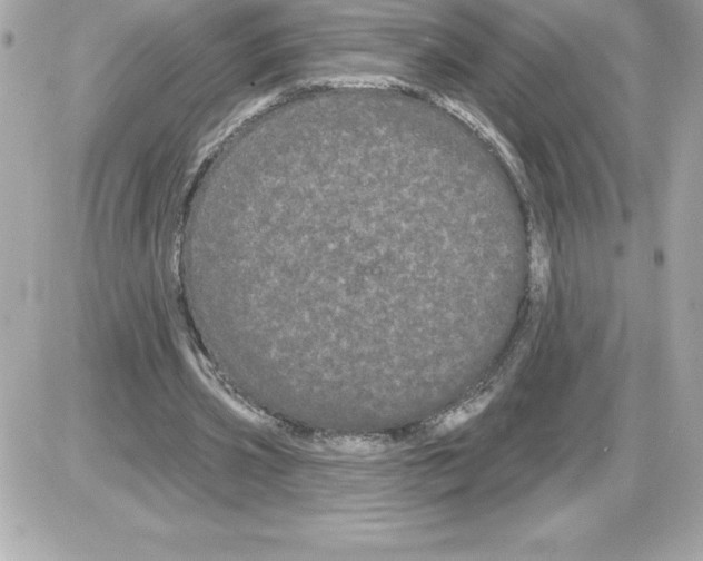 X0000085220533200704091934