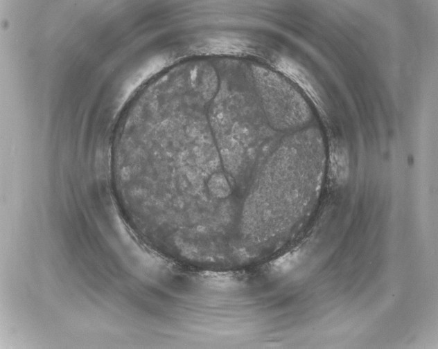 X0000085220534200704091934