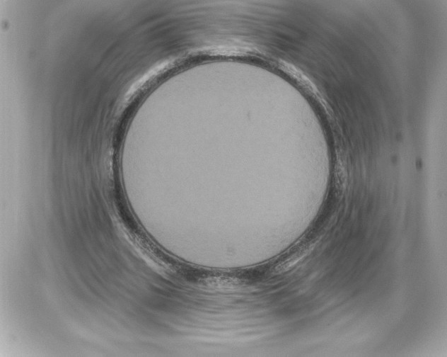 X0000085220535200704091934