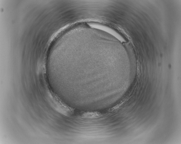 X0000085220536200704091934