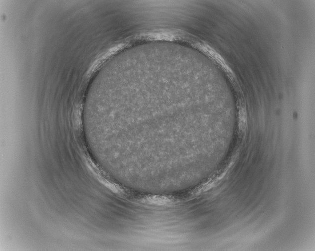 X0000085220537200704091934