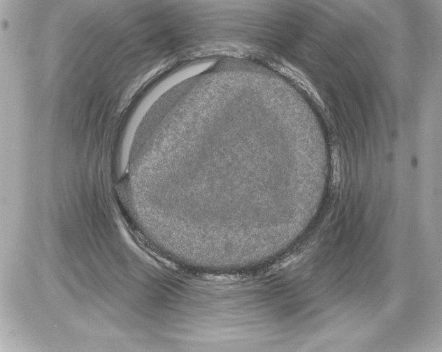 X0000085220538200704091934