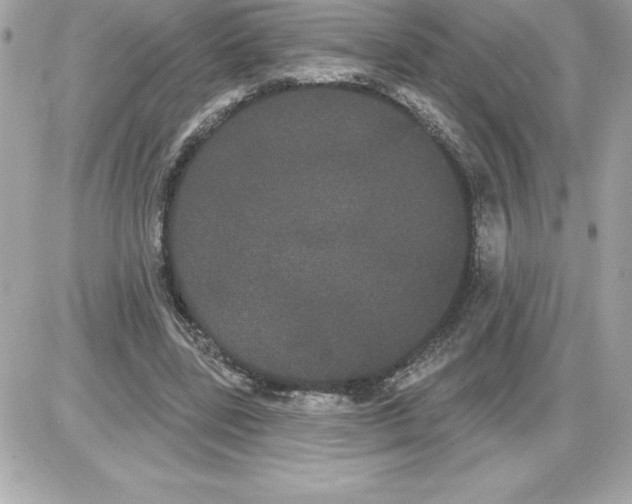 X0000085220539200704091934