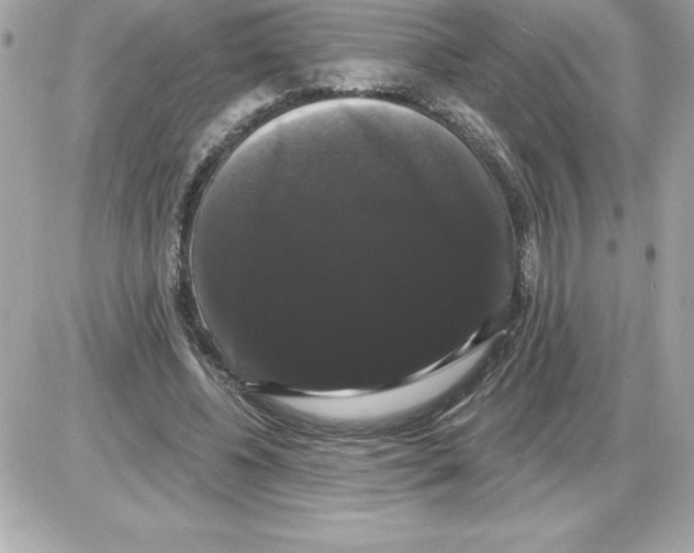 X0000085220540200704091934