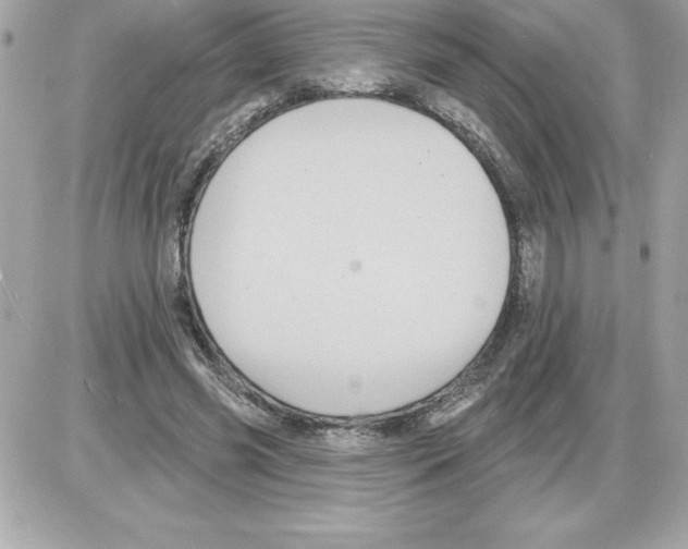 X0000085220541200704091934