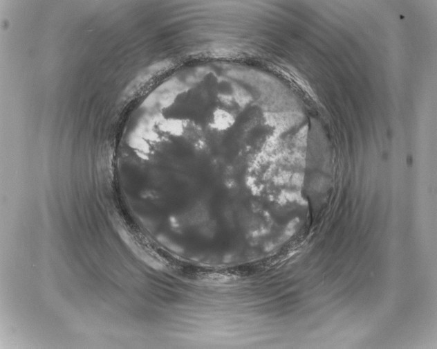 X0000085220542200704091934