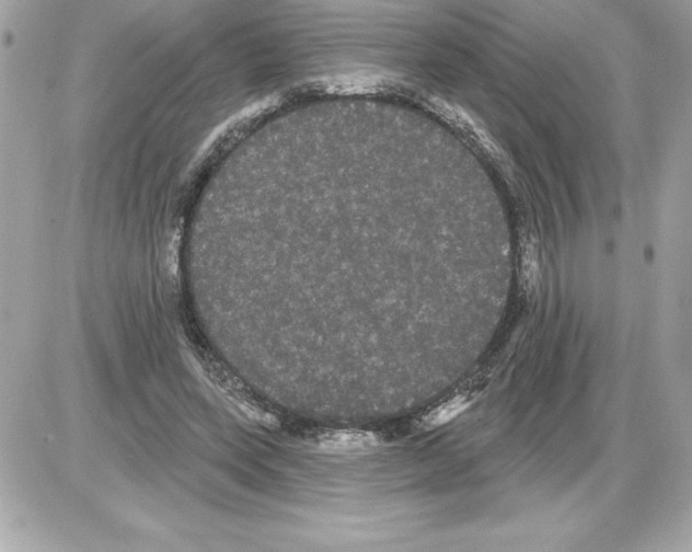 X0000085220543200704091934