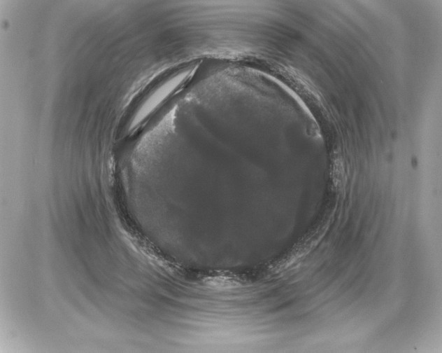 X0000085220544200704091934