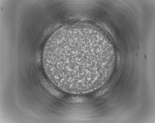 X0000085220545200704091934