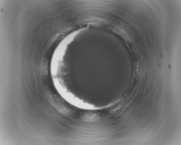 X0000085220547200704091934