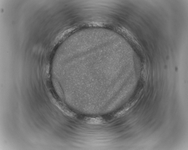 X0000085220548200704091934