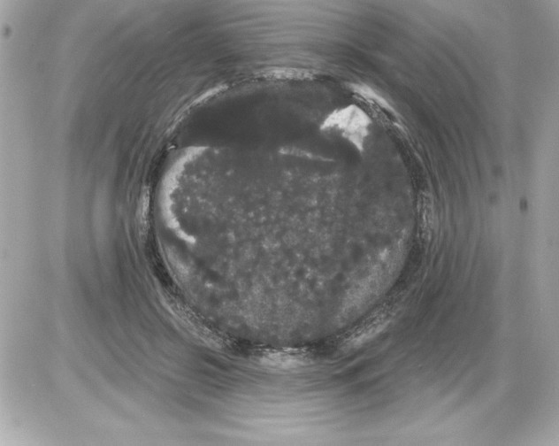 X0000085220550200704091934