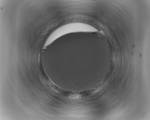 X0000085220551200704091934